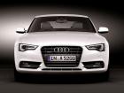 Audi A5 2.0 TDI, 2011 - 2016