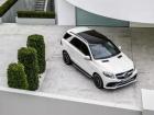 Mercedes-Benz GLE 300, 2015 - ....