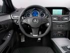 Mercedes-Benz E 350 CDI 4MATIC, 2009 - ....