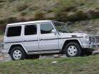 Mercedes-Benz G 320 CDI Lang 4MATIC, 2000 - 2008