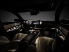 Mercedes-Benz S 350 BlueTEC, 2013 - 2017