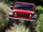 Jeep Wrangler 2.0 4x4, 2017 - ....