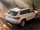 Skoda Kodiaq 1.4 TSI, 2016 - ....